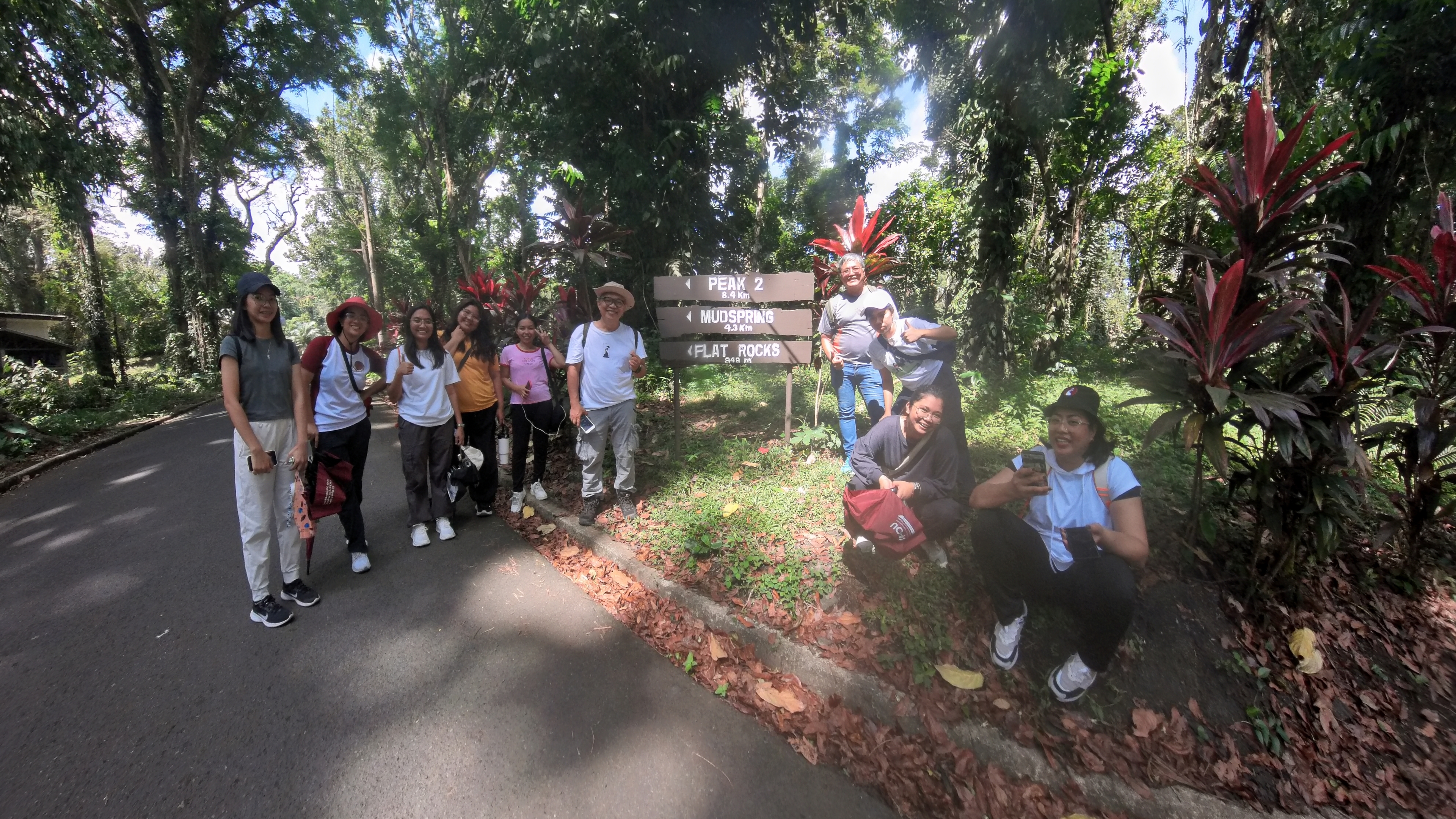 Lush greenery within the Makiling Botanical Gardens
