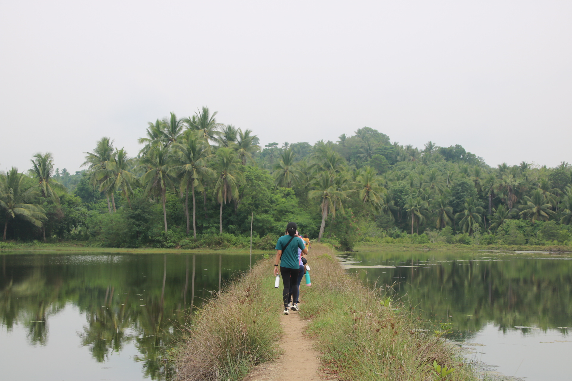 Group of people learning about local plants