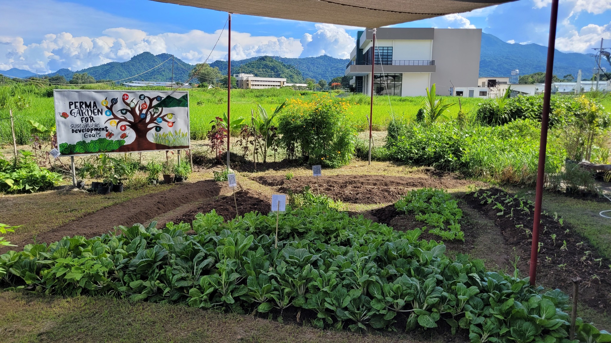 Close up of unique plant life on the trail