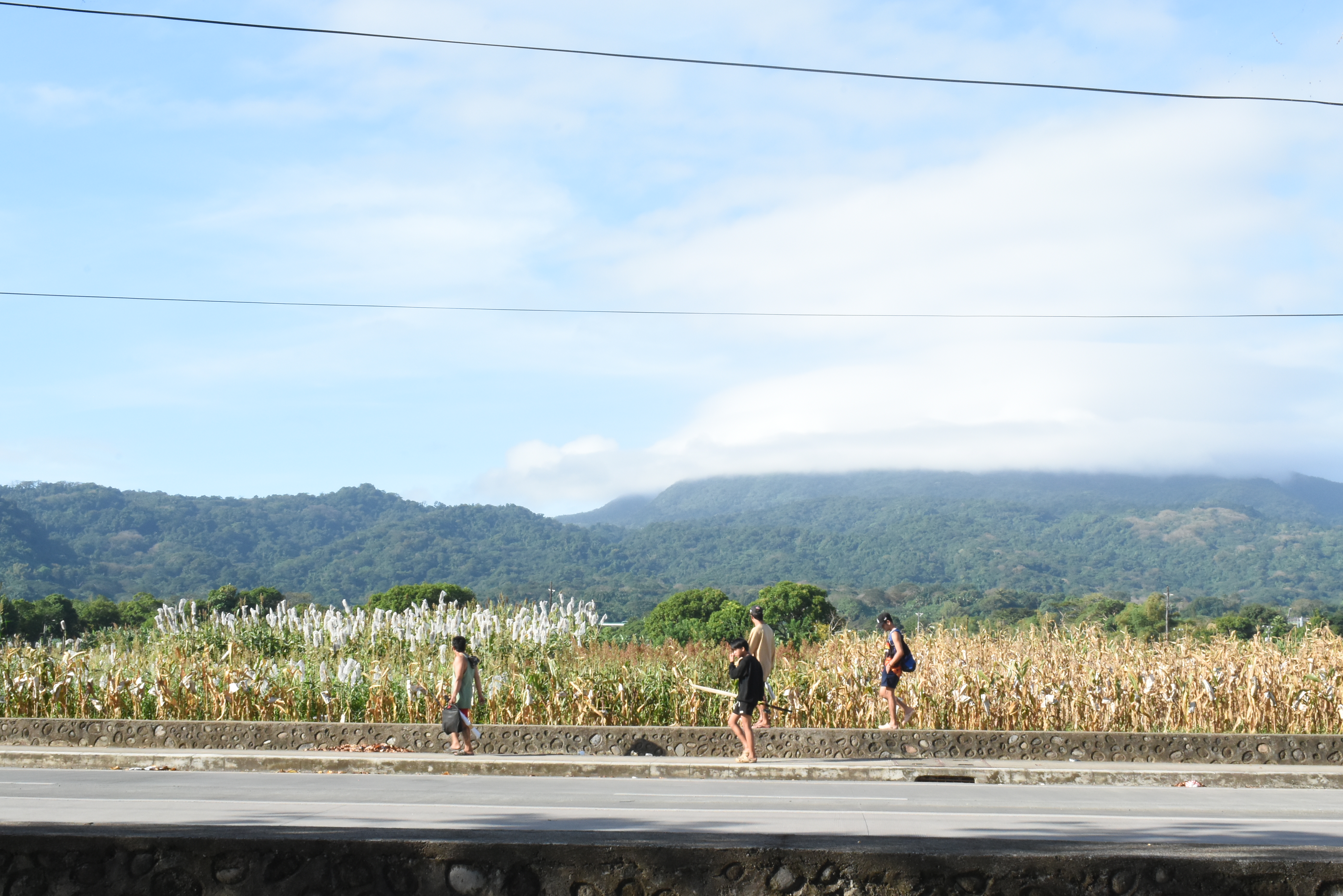 Panoramic view of Mount Makiling